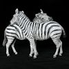 Mutual Grooming Zebras